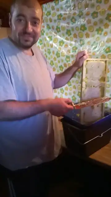 cortando miel