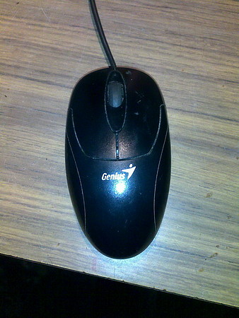 Mouse