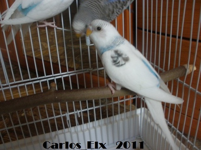 4 adios 1 28-5-2011 4 adios 1 28-5-2011