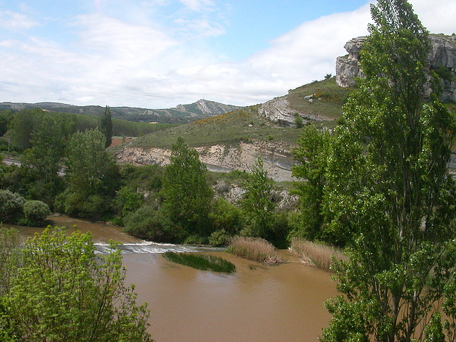 DSCN7264 DSCN7264