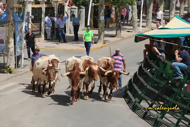 14, por la avenida, marca