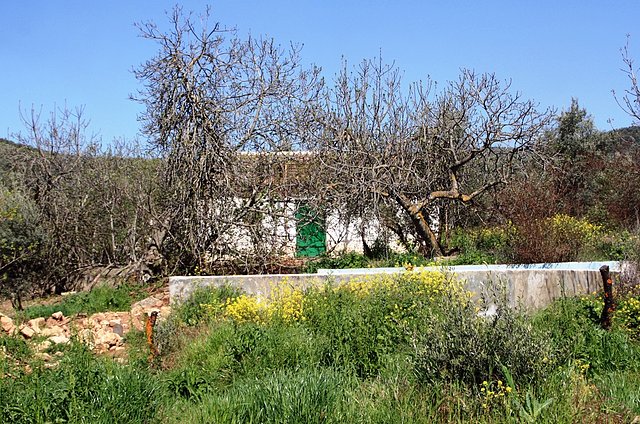 cortijo de julio