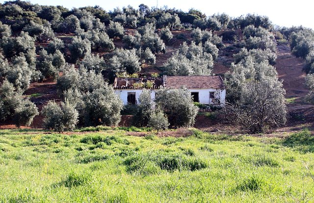 cortijos de paredes