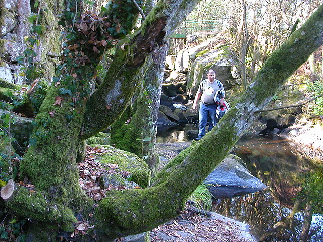 DSCN8054 DSCN8054