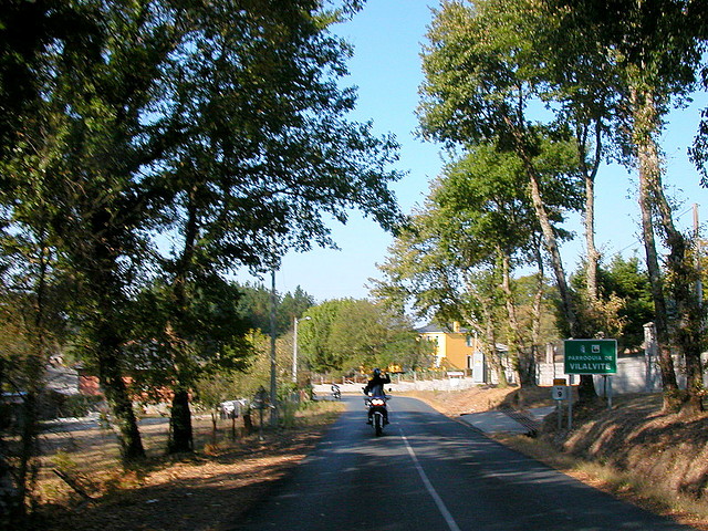 DSCN8063 DSCN8063