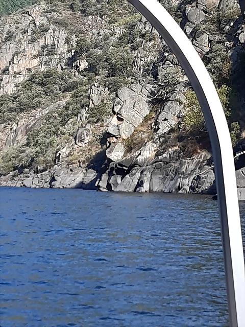 20191012_114556 20191012_114556