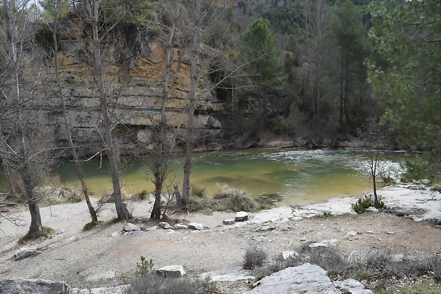 Guzzioregn Lcera Marzo 2015 065