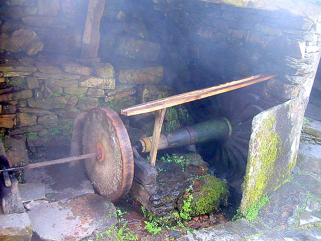 DSCN6765 DSCN6765