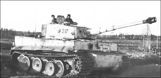 0 - Tiger1-mobility