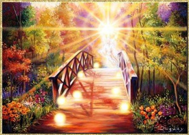 puente hacia la luz