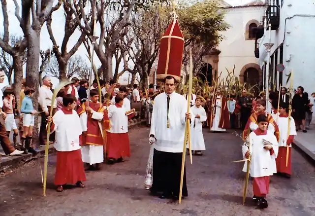 cruz procesional manga domingo de ramos