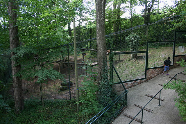 Beauval agost 2010 206 Beauval agost 2010 206