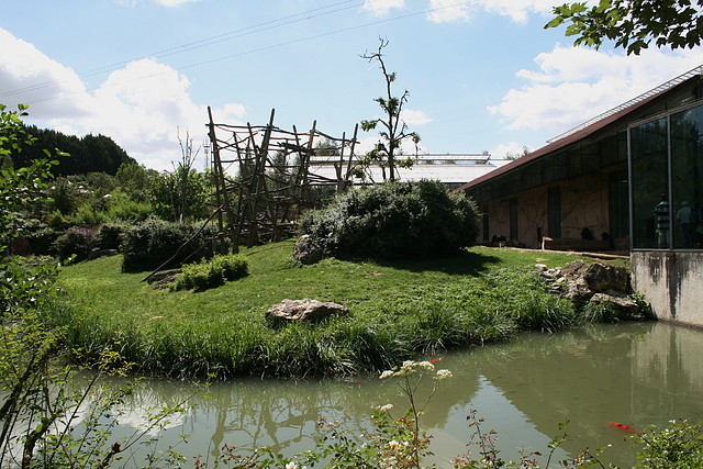 Beauval agost 2010 228 Beauval agost 2010 228
