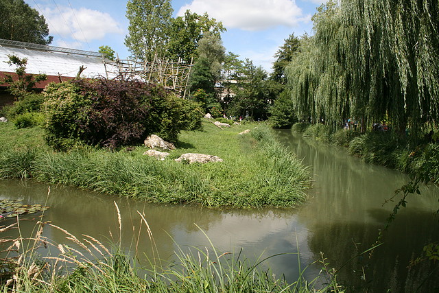 Beauval agost 2010 352 Beauval agost 2010 352