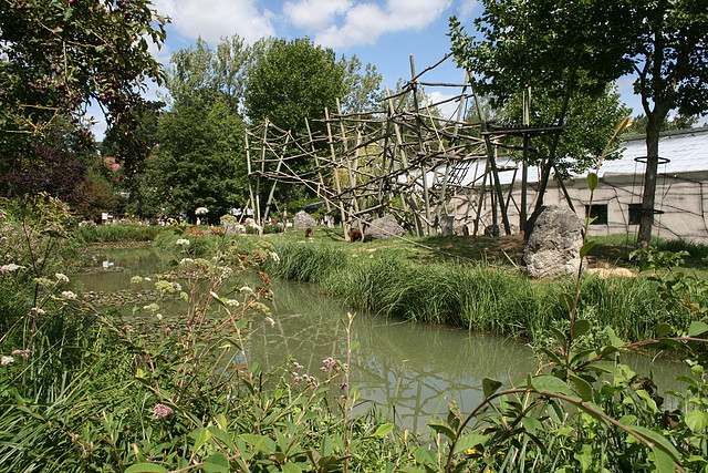 Beauval agost 2010 355 Beauval agost 2010 355
