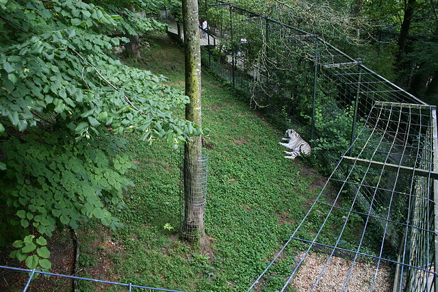 Beauval agost 2010 205 Beauval agost 2010 205