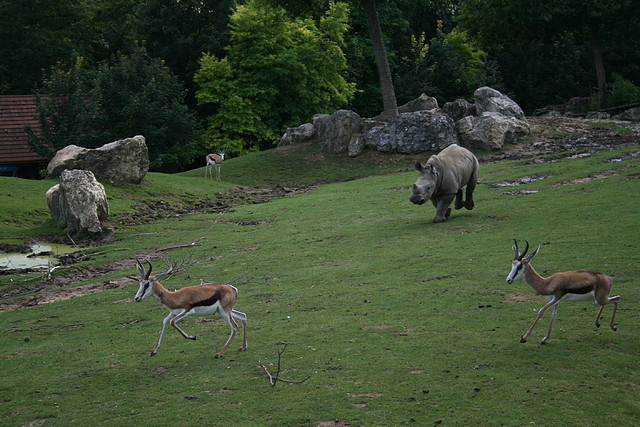 Beauval agost 2010 1327 Beauval agost 2010 1327