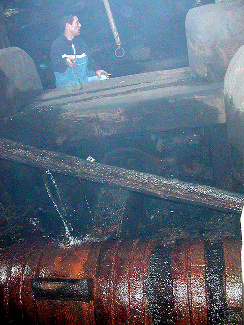 DSCN6798 DSCN6798