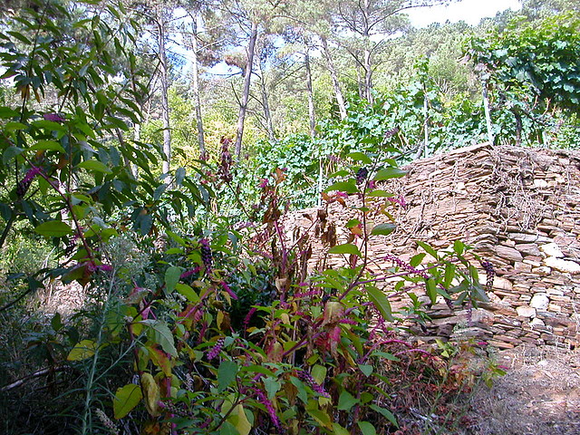 DSCN7502 DSCN7502