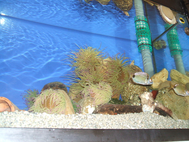 DSCF1328 DSCF1328