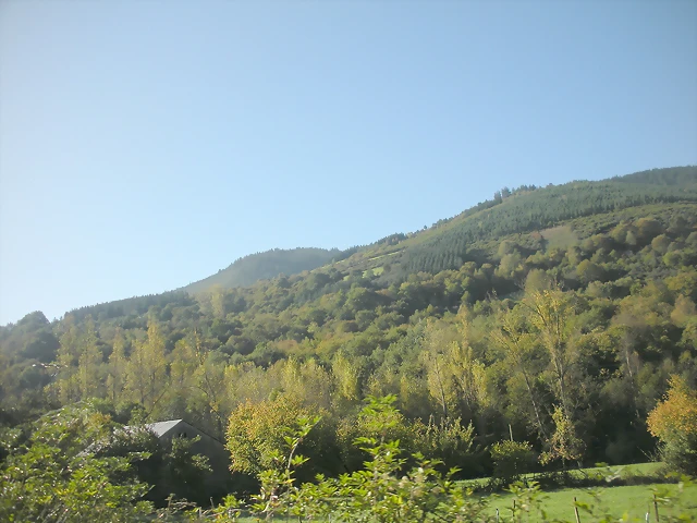 DSCN9980 DSCN9980