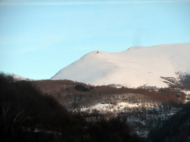 DSCN2584 DSCN2584