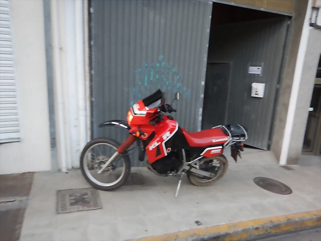 DSCN2164 DSCN2164