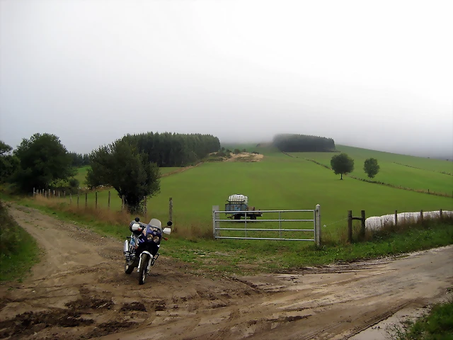 IMG_0233 IMG_0233