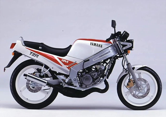 Yamaha TZR 125 Naked 1989 Yamaha TZR 125 Naked 1989