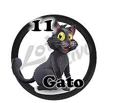 gato