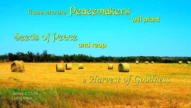 peacemakers-seeds_of_peace