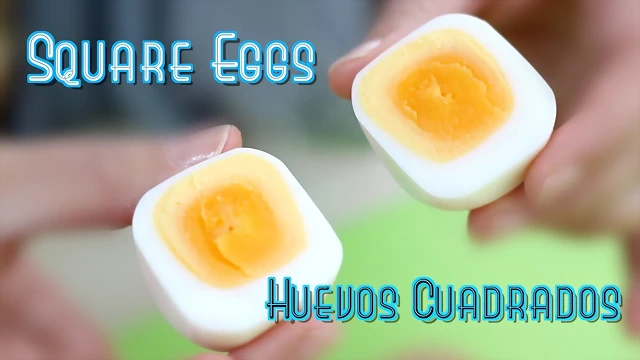 huevos huevos