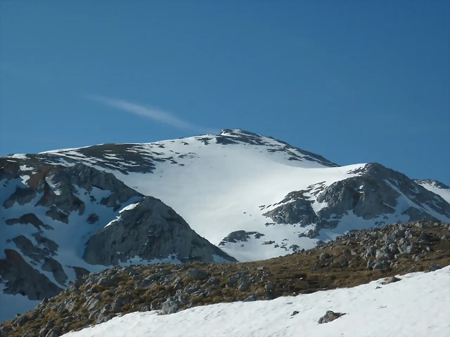 viorna 018 viorna 018
