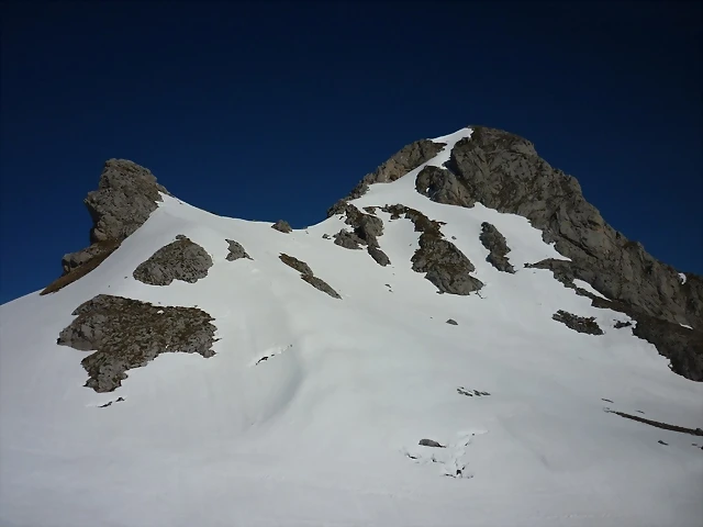 viorna 017 viorna 017