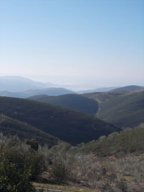 DSCN0211 DSCN0211
