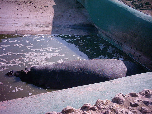 PIC04830 PIC04830