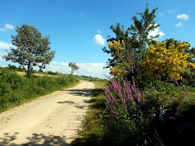 DSCN9172