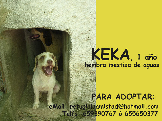 KEKA Barcelona