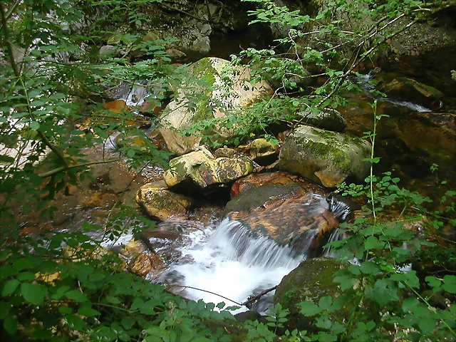 DSCN3762 DSCN3762