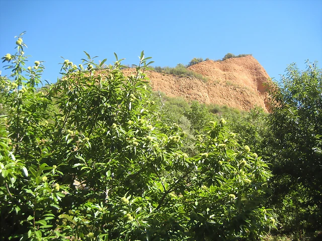 IMG_0178 IMG_0178