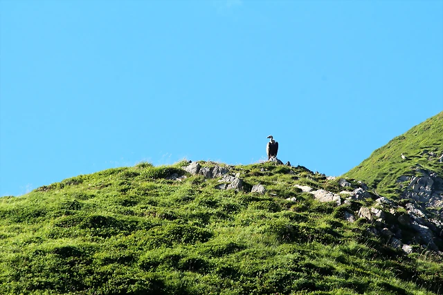 IMG_7357 IMG_7357