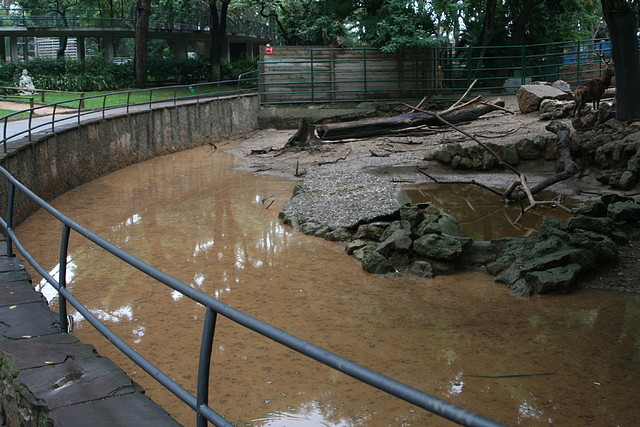 Zoo Barcelona 21-09-10 003 Zoo Barcelona 21-09-10 003