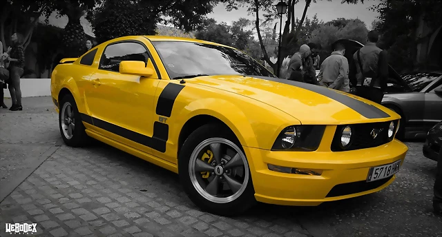 DSC_0890 DSC_0890