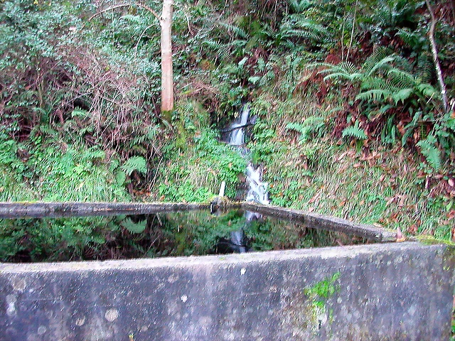 DSCN6326 DSCN6326