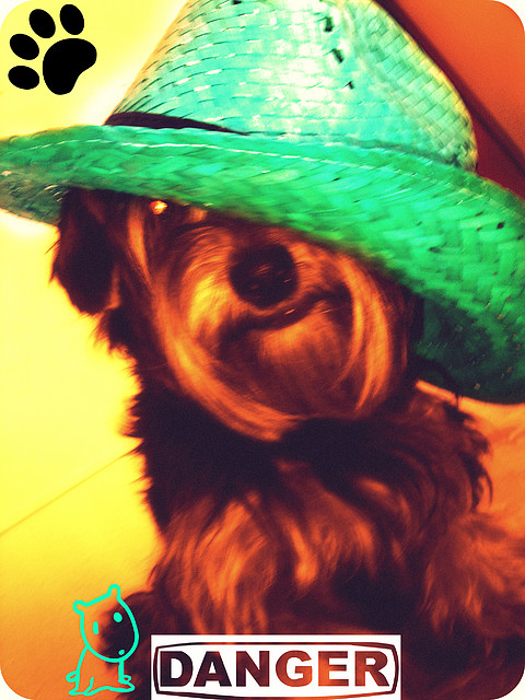 danger cn el sombrero danger cn el sombrero