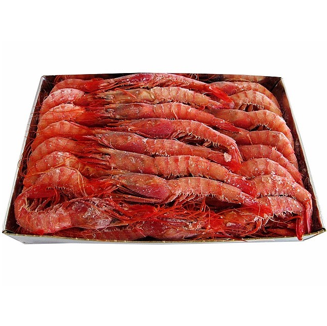 Gamba roja congelada