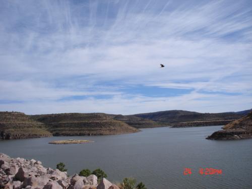 PRESA BAYACORA