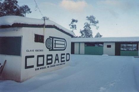 COBAED NEVADO