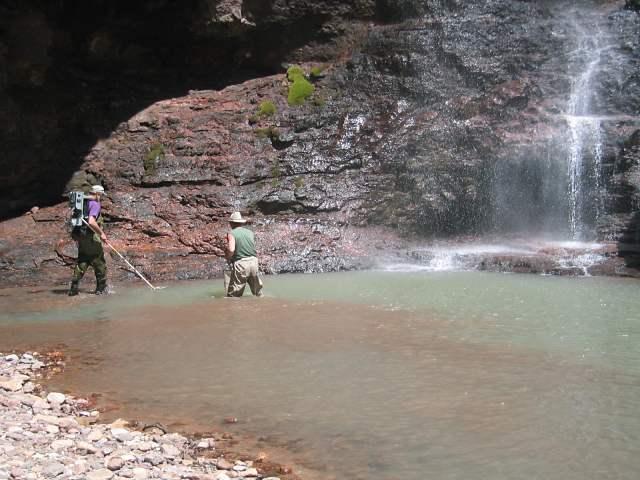 HOMBRES BUSCANDO BETAS DE ORO EN LOS ESTANQUES