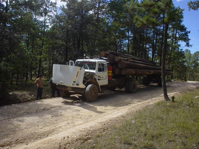 CAMION TROCERO FORESTAL HALCON